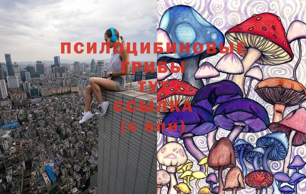 винт Абаза