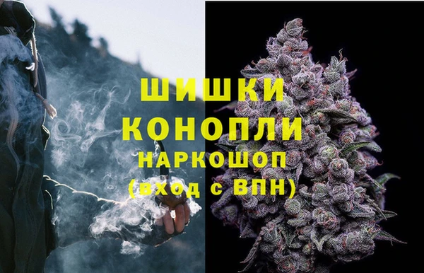 винт Абаза