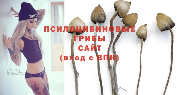 винт Абаза