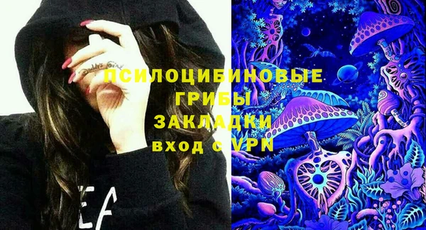 винт Абаза