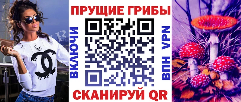 как найти закладки  Юрга  Псилоцибиновые грибы Magic Shrooms 